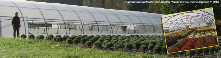 Exploitation horticole de Jean-Michel Perrin, serres de chrysanthèmes
