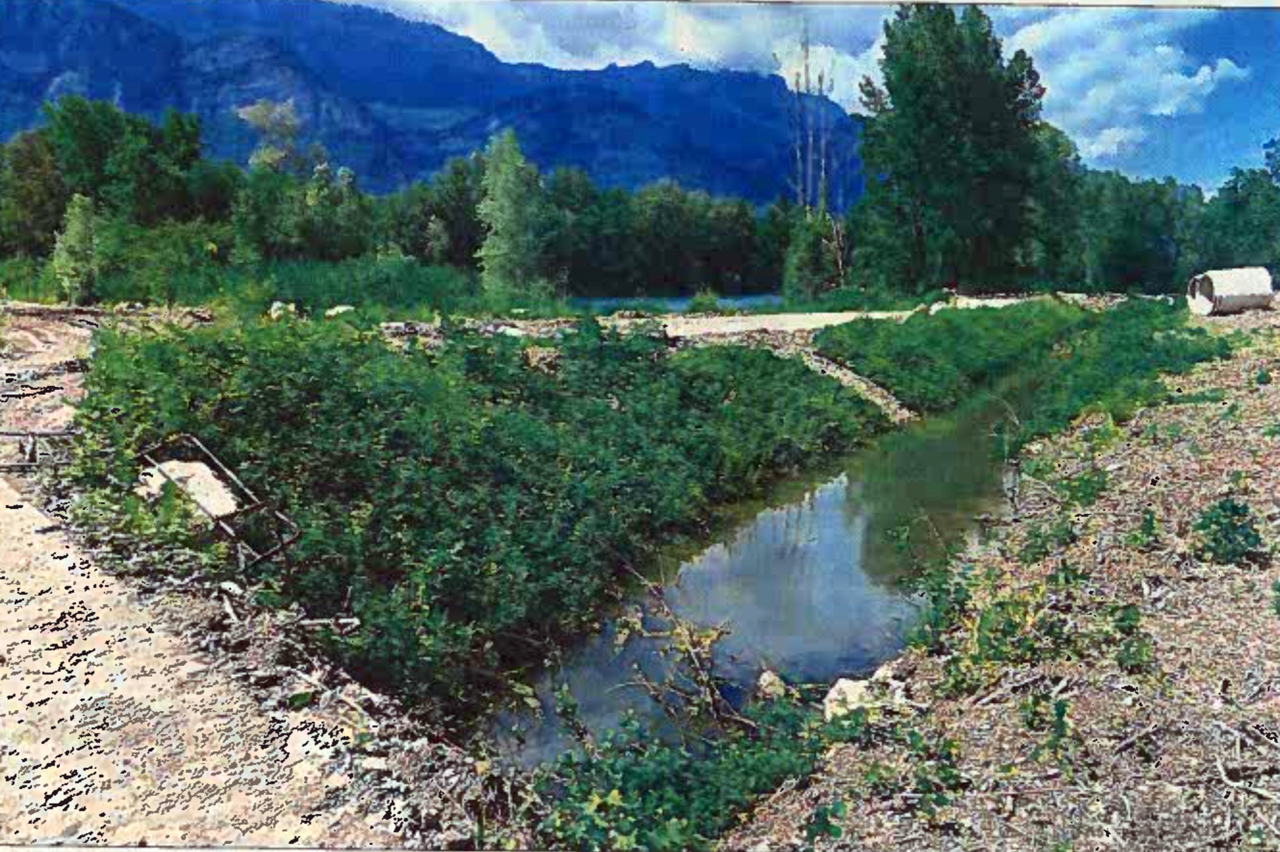 Un cours d'eau pollué envahi par la végétation, aux abords du village