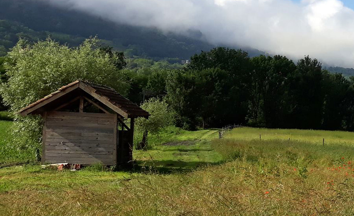 Une ancienne cabane en bois au milieu d'un pré, au pied de la montagne