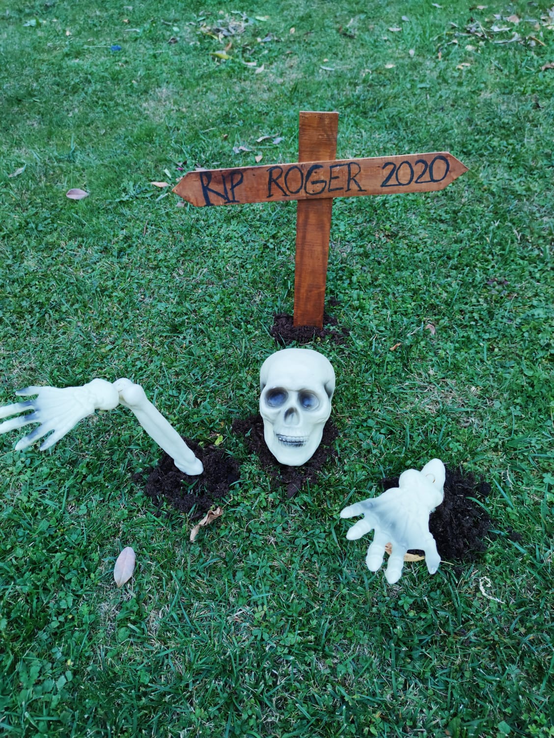 Décoration d'Halloween : un crâne et des mains de squelette sortant de terre, avec une pancarte « RIP Roger 2020 »
