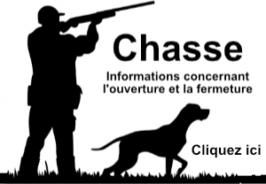 Icône illustrant un chasseur et son chien, informations sur la chasse