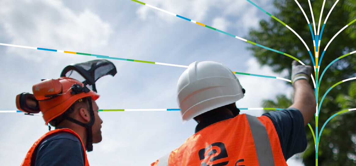 Travaux d’élagage sur le réseau électrique — campagne Enedis / GRDE